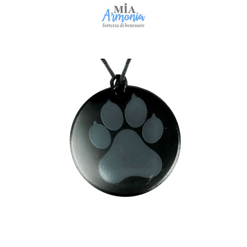 21520 SHUNGITE T2 - Ciondolo PAW