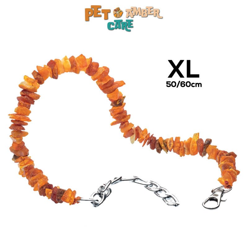 21504 PETAMBER - Collare per cani taglia XL - 50-60 CM