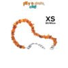 PETAMBER - Collare per cani taglia XS - 30-40 CM