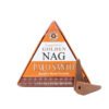 Incenso Vijayshree Golden NAG PALO SANTO - 1 scatola da 10 coni backflow