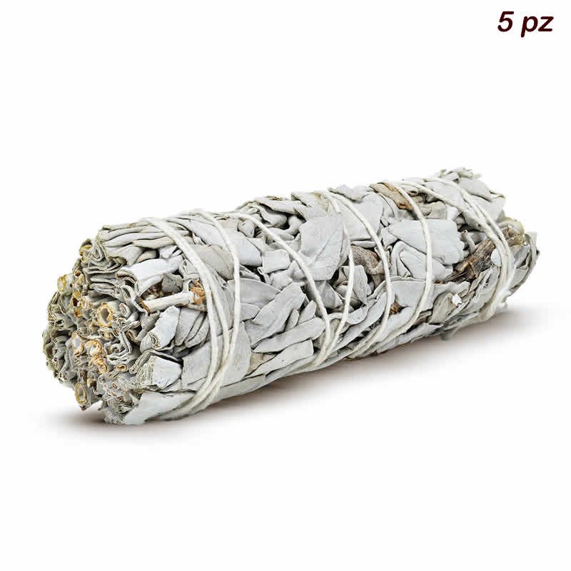 21949 Smudge SALVIA BIANCA APIANA cm 11 - Fornitura da 5 pz