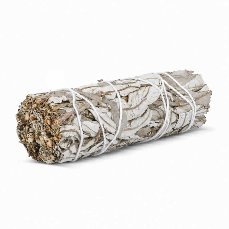 22184 Smudge ERBA SACRA BIANCA