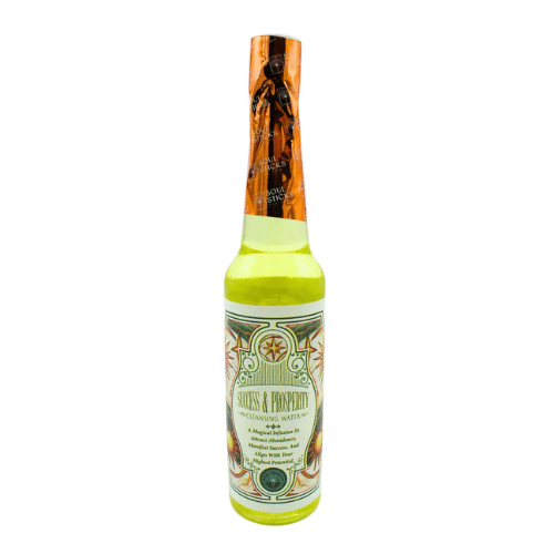 22197 Acqua detergente da 221ml - Successo e Prosperità